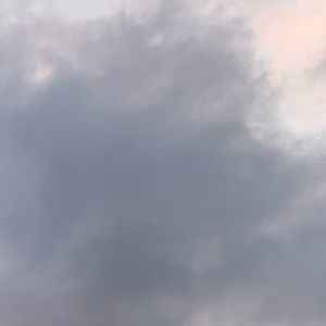 Meet your Posher, Cammie